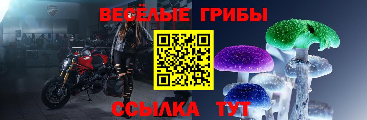 Псилоцибиновые грибы Psilocybine cubensis Кувандык